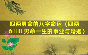 四两男命的八字命运（四两 🍀 男命一生的事业与婚姻）